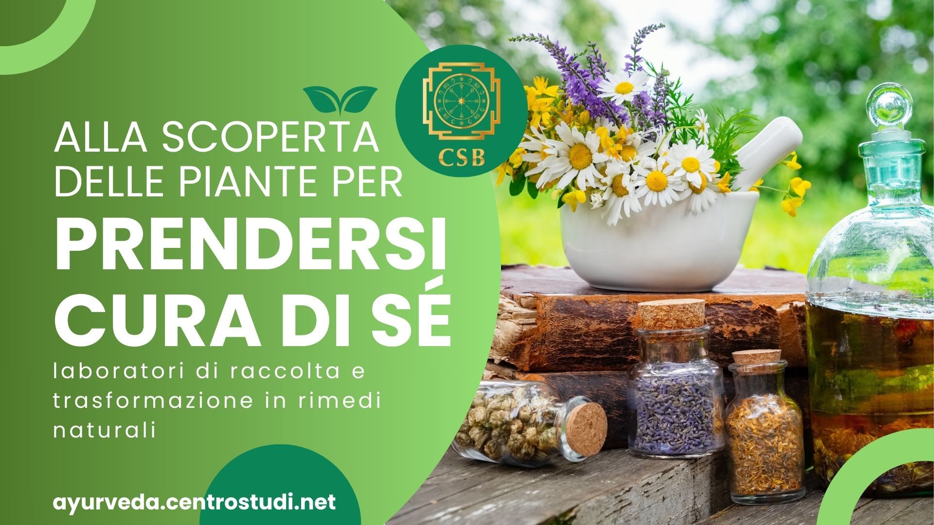 Alla scoperta delle piante per prendersi cura di sé: laboratori di raccolta e trasformazione in rimedi naturali