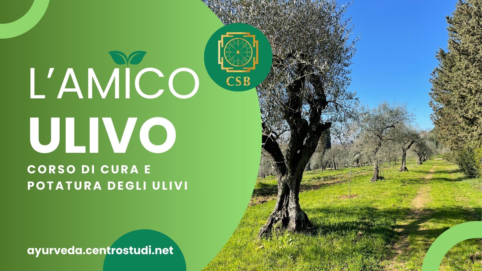 Corso di cura e potatura degli ulivi "Amico Ulivo"